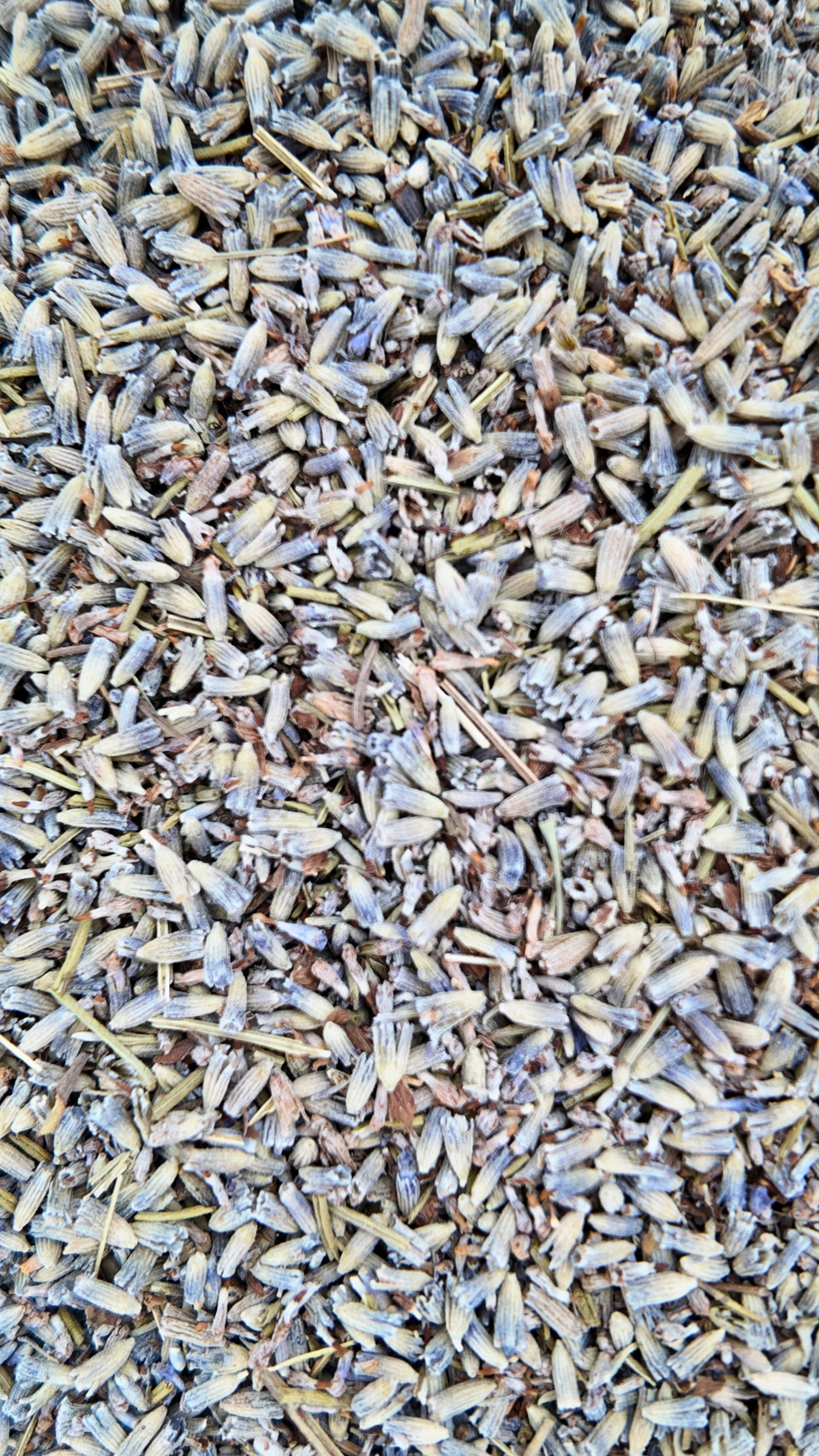 Organic Lavender Flowers  – 1 oz
