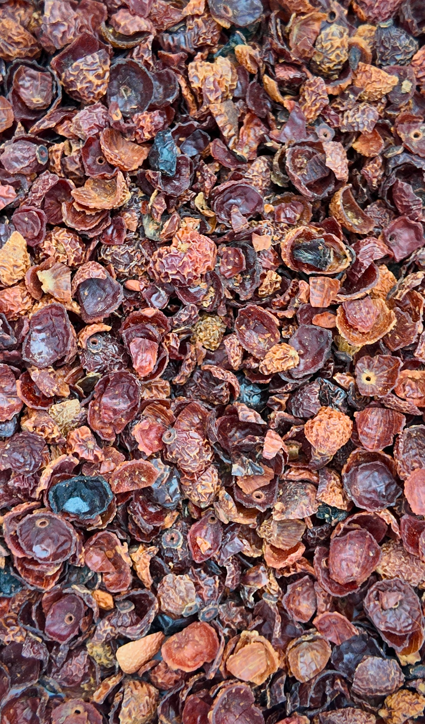 Organic Rosehips (Cut & Sifted, Seedless) – 1 oz