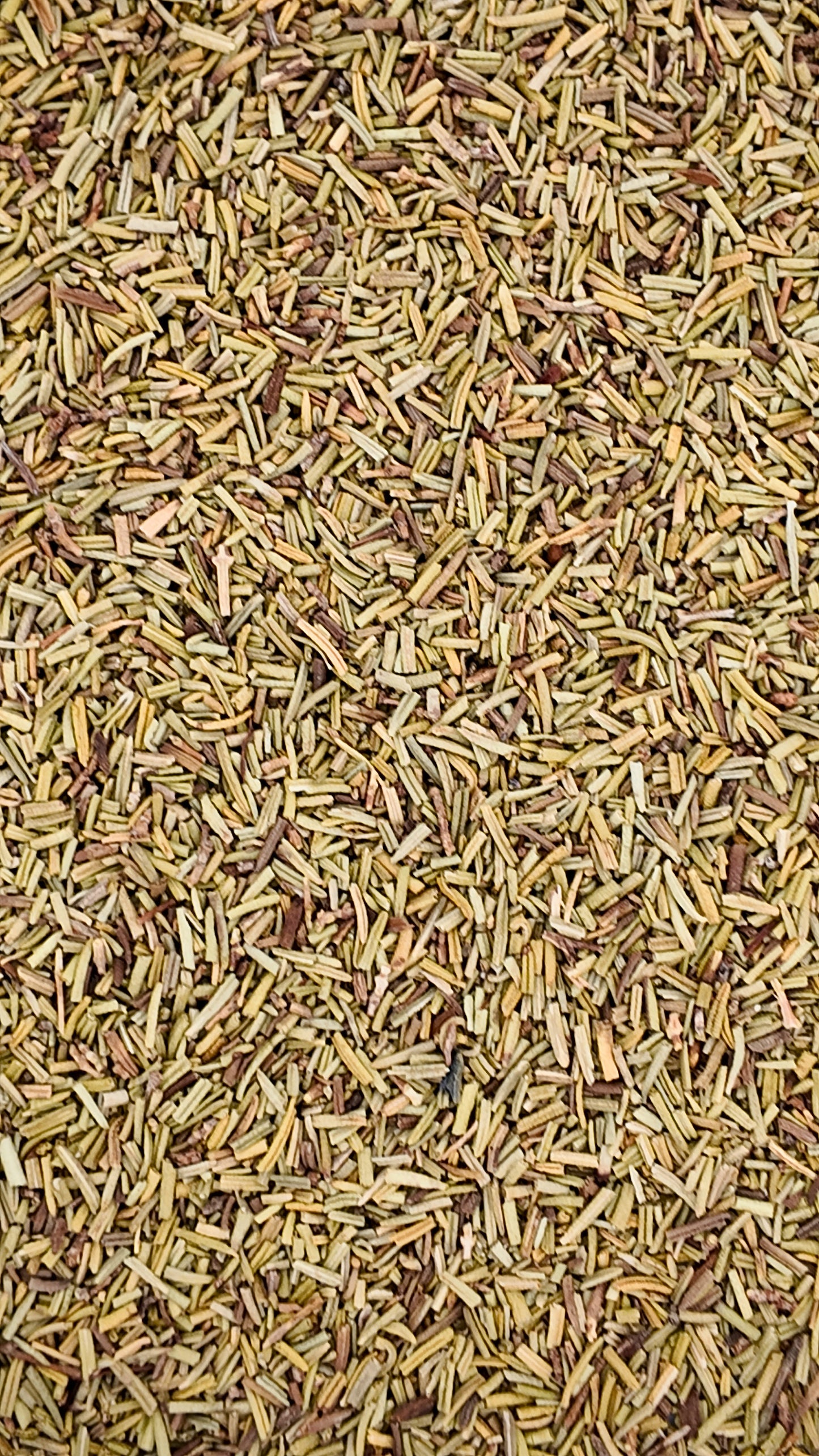 Organic Rosemary Leaf (Cut & Sifted) – 1 oz
